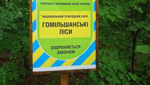 В Харьковской области чиновники незаконно отдали в частную собственность вековые леса: Что решил суд