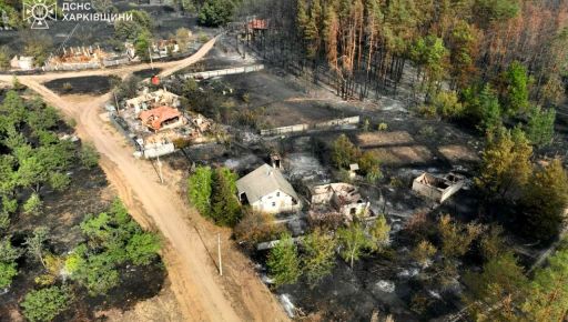 "Горіла вся область": Що відомо причини та наслідки масштабних пожеж на Харківщині