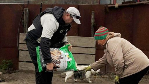 Правоохранители показали, как помогают брошенным животным на Волчанском направлении
