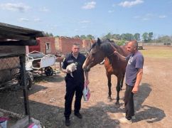 На Харьковщине спасают животных: в прифронтовые громады привезли корм и ветпрепараты
