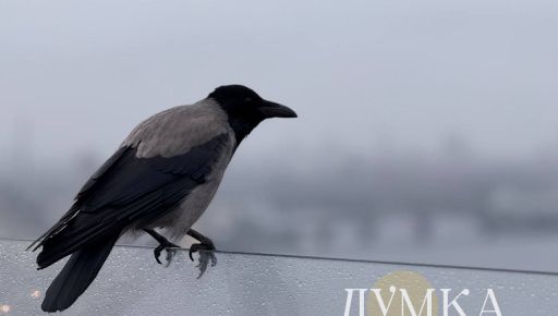 Синоптики рассказали, какой погоды ждать в Харькове и области 30 января