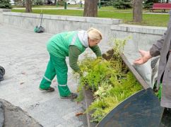 В Харькове спасают цветы сада Шевченко от зимы: что делают озеленители