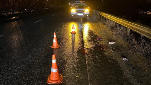 Харківська поліція шукає водія, який збив насмерть людину: Просить відгукнутися свідків