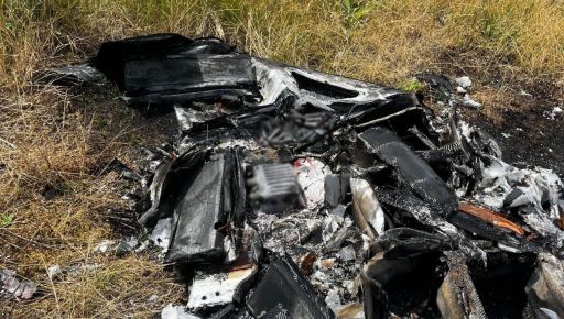 Стало відомо, які ворожі БпЛА прикордонники знищили на Харківщині за добу