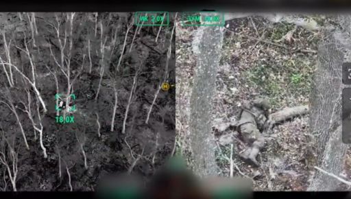 На Харьковщине пограничники показали, как уничтожают россиян в укрытиях