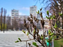 Погода у Харкові на 7 квітня: що прогнозують синоптики