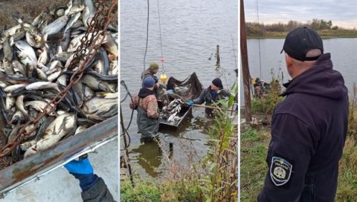 В Харьковской области в Староверовское водохранилище выпустили более 3,5 т молодой рыбы