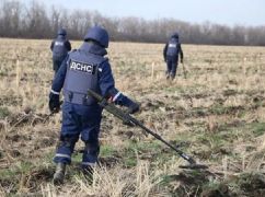 Теробороновцы показали, как саперы ювелирно ищут взрывчатку в полях Харьковщины
