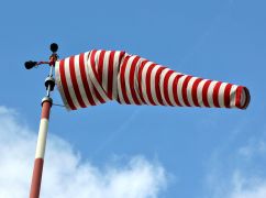 Харьков накроет сильный ветер: объявлен желтый уровень опасности