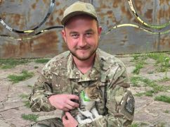 Спасенный на Харьковщине: история котенка, который в одиночку эвакуировался с фронта