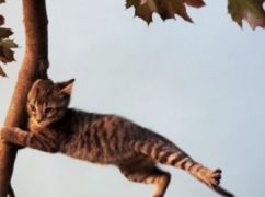 Непогода надвигается на Харьковщину: чего ожидать 5 сентября