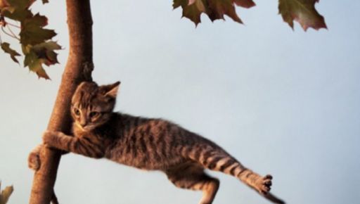Негода насувається на Харківщину: чого очікувати 5 вересня