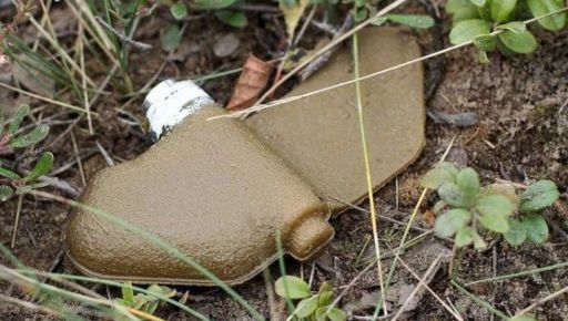 Харьковские спасатели за сутки нашли почти 80 мин и неразорвавшихся боеприпасов