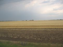 В Харьковской области фермеру незаконно отдали земли на 5 млн грн: Что решил суд