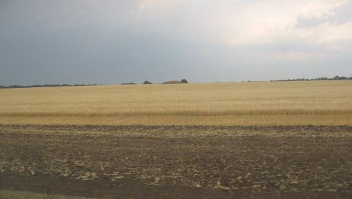 В Харьковской области фермеру незаконно отдали земли на 5 млн грн: Что решил суд