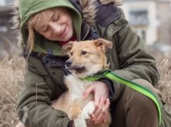 Из прифронтовой Харьковщины - за границу: история спасения собачки Коди