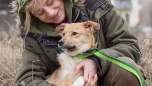 Із прифронтової Харківщини &ndash; до Франції: історія порятунку песика Коді