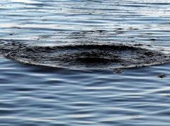 На Харківщині потонула дитина: Тіло шукають водолази