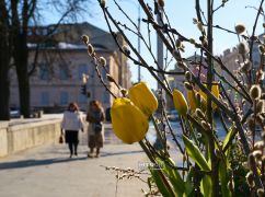 Якої погоди чекати харків'янам завтра: прогноз на 6 березня