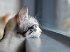 Дождь и холод: что прогнозируют синоптики в Харькове на 10 апреля