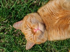 Якої погоди чекати харків'янам у вівторок, 7 липня