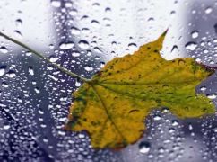 В Харькове ожидается дождь: Синоптики рассказали о погоде на 25 октября