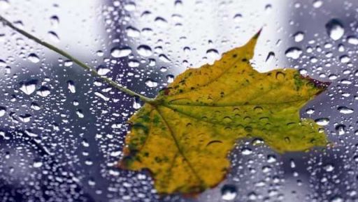 У Харкові очікується дощ: Синоптики розповіли про погоду на 25 жовтня