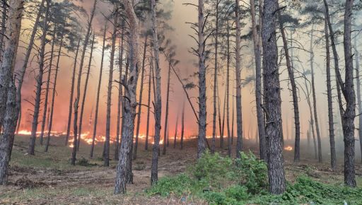 В Харьковской области из-за вражеских обстрелов загорелись почти 35 га леса: Кадры с места