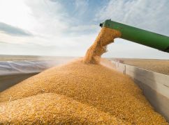 В Харьковской ОВА назвали катастрофическими возможные последствия расторжения россией "зернового соглашения"