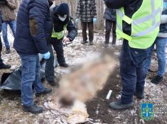 Розстріл автобусної колони в Боровій: Правоохоронці ексгумували тіло жертви