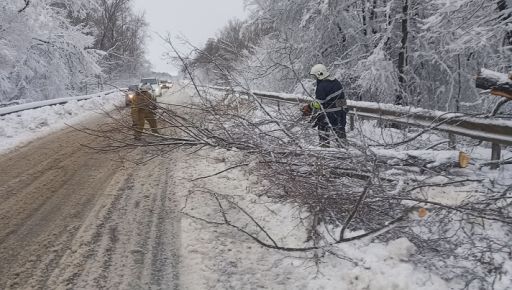 На Харьковщине из-за сильного ветра на международную трассу упали деревья