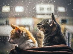 Погода у Харкові 30 квітня: коли розпочнеться дощ