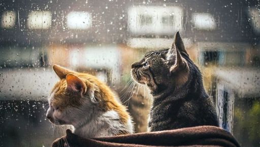 Погода в Харькове 30 апреля: когда начнется дождь