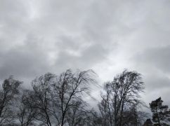 Погода в Харкові 26 грудня