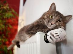 Синегубов сообщил, когда отключат отопление на Харьковщине