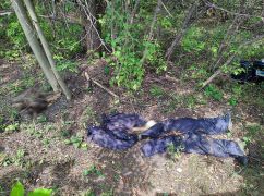 Казнь в лесополосе: Какие военные преступления россии скрывает пригород Харькова