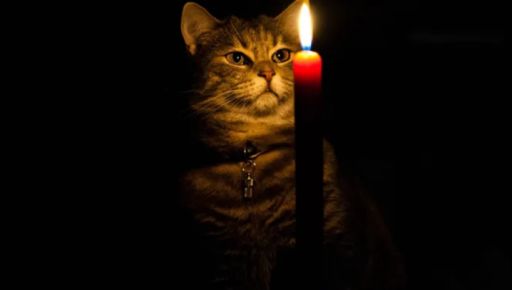 Аварийные отключения света: на Харьковщине обесточены несколько населенных пунктов