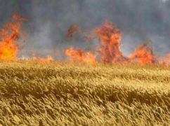 Окупанти ракетами спалили пшеничні поля на Харківщині
