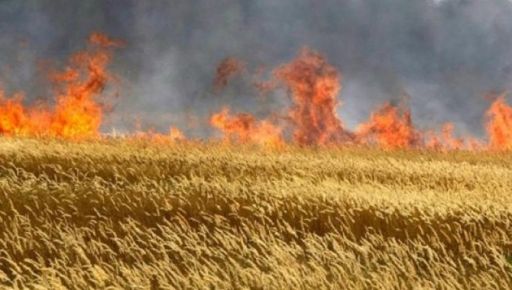 Окупанти ракетами спалили пшеничні поля на Харківщині