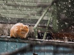 Синоптики обещают Харькову дожди: Прогноз на 2 января