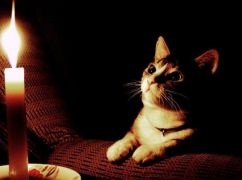 На Харківщині запровадили аварійні відключення світла: перелік населених пунктів