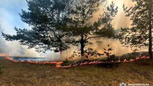 Поліція показала наслідки чергових російських атак на Харківщину