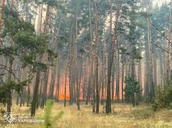 На Харківщині горить понад 700 га лісу