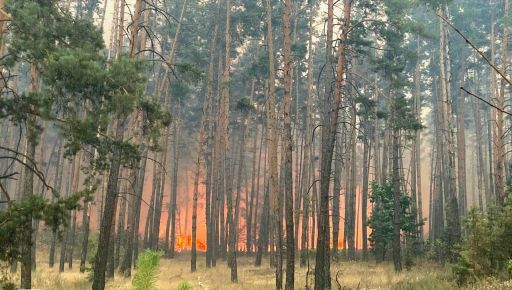 На Харківщині горить понад 700 га лісу