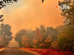 В Харькове из-за сухостоя возник масштабный пожар – соцсети