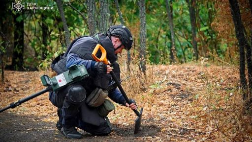 Рятувальники показали, як триває розмінування на Харківщині поблизу ліній електропередач