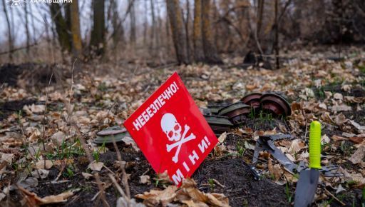 Стало відомо, скільки ворожих мін підірвали на Харківщині за тиждень