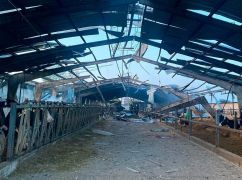 Поліцейські показали наслідки ворожих ударів на Харківщині, де загинуло чимало тварин