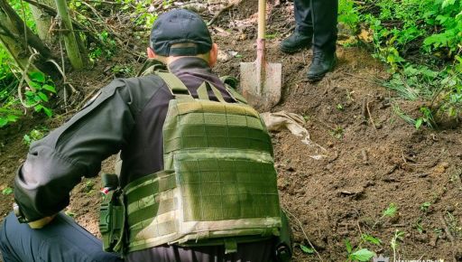 На Харківщині розслідують жорстоке поводження з тваринами: що відомо