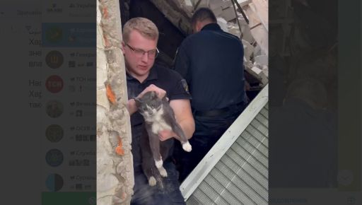 У Харкові на третю добу після обстрілу з-під завалів врятували кошеня